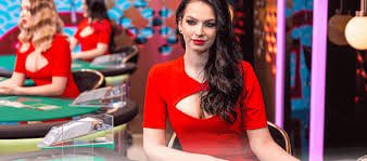 x66 VIP chương trình thành viên
