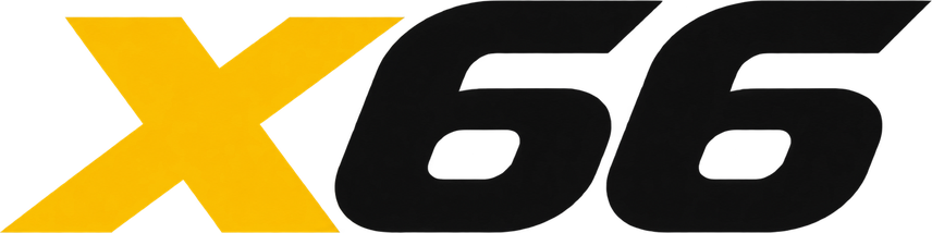 x66